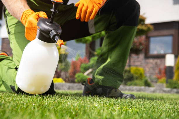 Best Bed Bug Extermination  in Clinton, IL