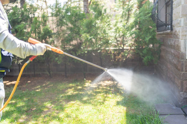 Best Flea Control Services  in Clinton, IL