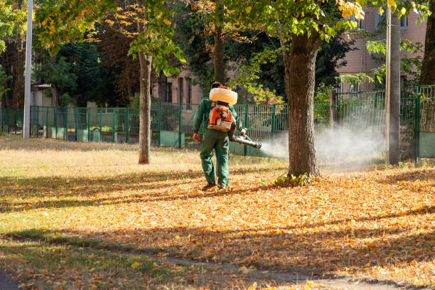  Clinton, IL Pest Control Pros