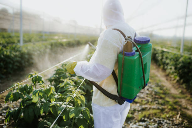 Best Pest Removal Services  in Clinton, IL